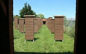 Championnat du Rhône Beursault - Anse